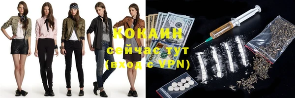 твердый Осинники