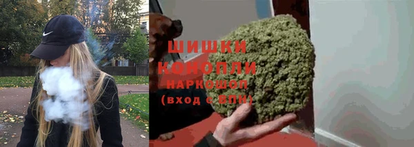 твердый Осинники