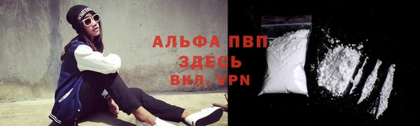 твердый Осинники