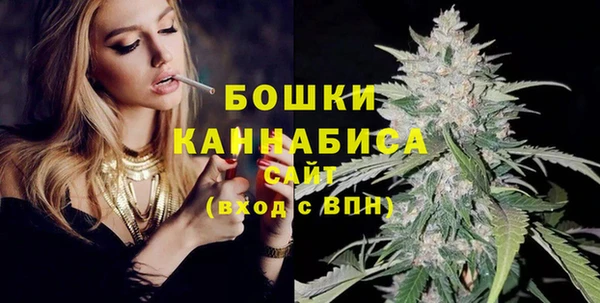 мдпв Заречный