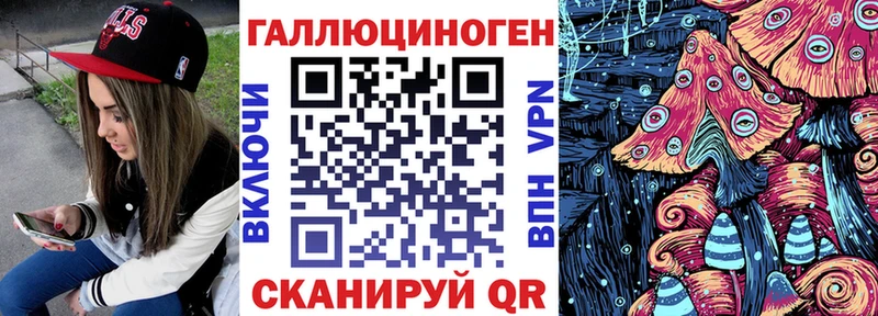OMG вход  продажа наркотиков  Салехард  Псилоцибиновые грибы Psilocybe 